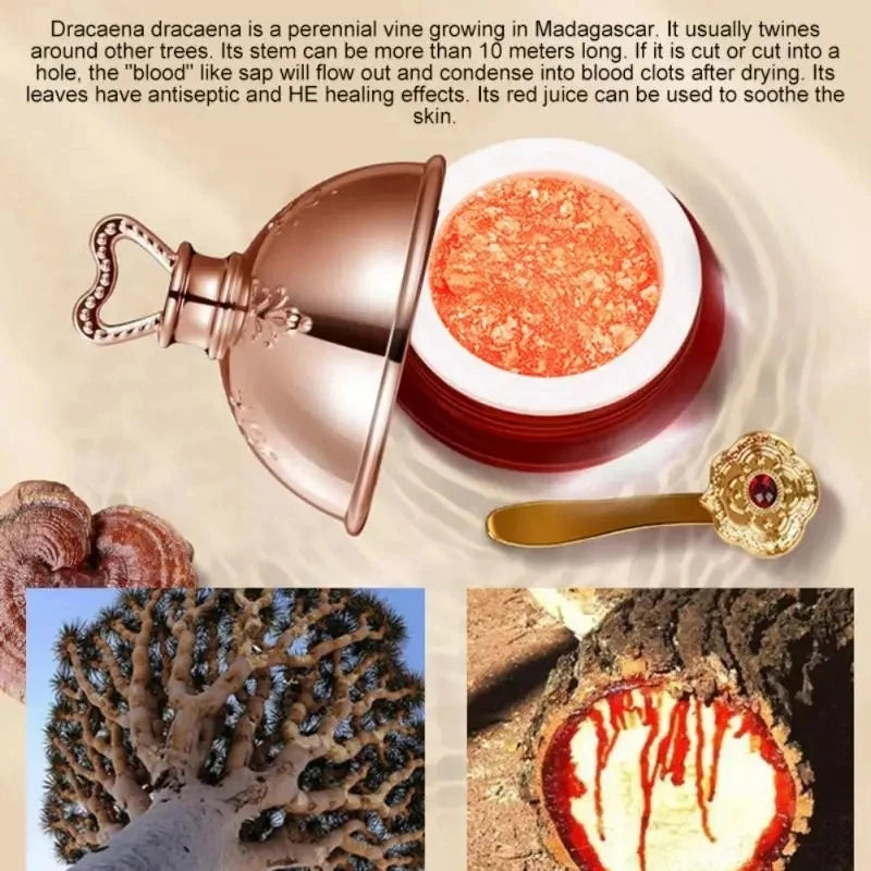 S63e22887379c4b46a1f59d566b800aabO